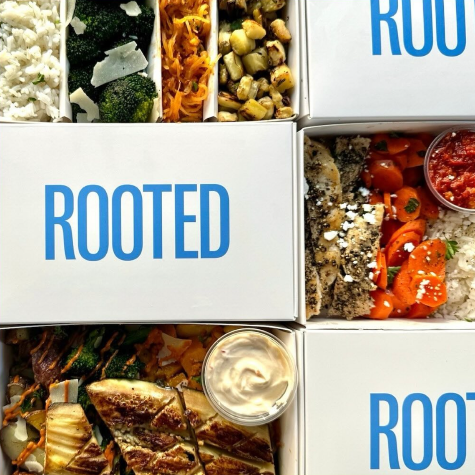 Keep Rooted Rooted – Keep it simple.
